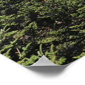 山詩篇121:1-2信仰のポスター ポスター (角)