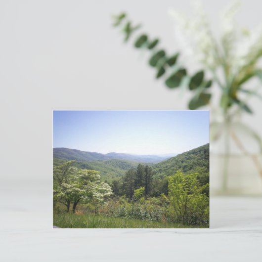 山谷1 ポストカード (スタンド正面)