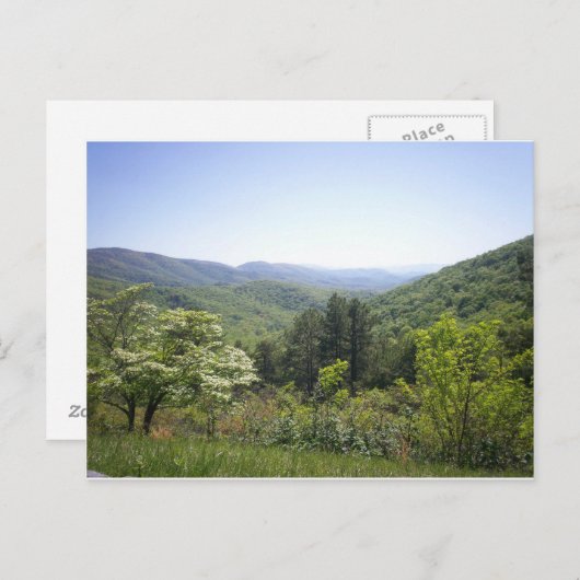 山谷1 ポストカード (正面/裏面)