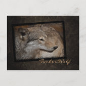 山賊はがき ポストカード (正面)