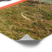 山道 ポスター (角)