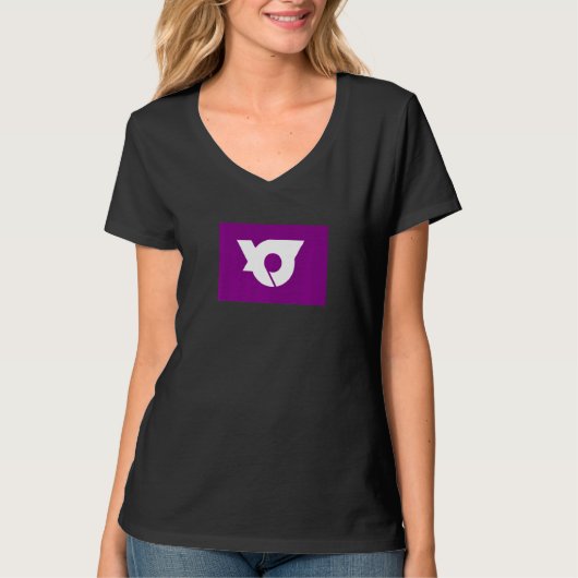山野辺 日本の旗 Tシャツ (正面)