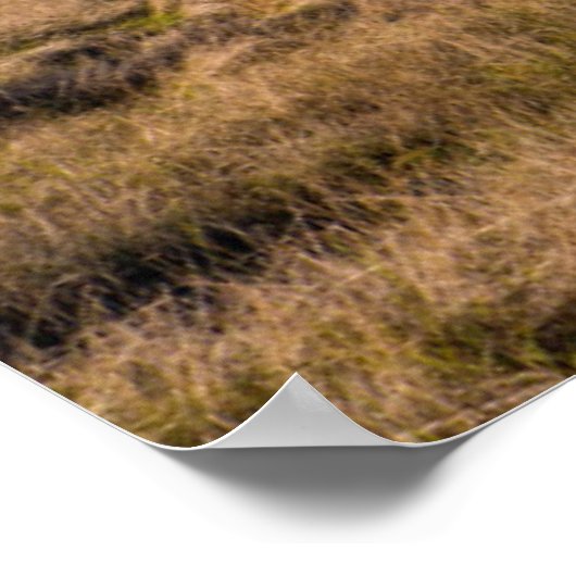 山頂からの眺め ポスター (角)