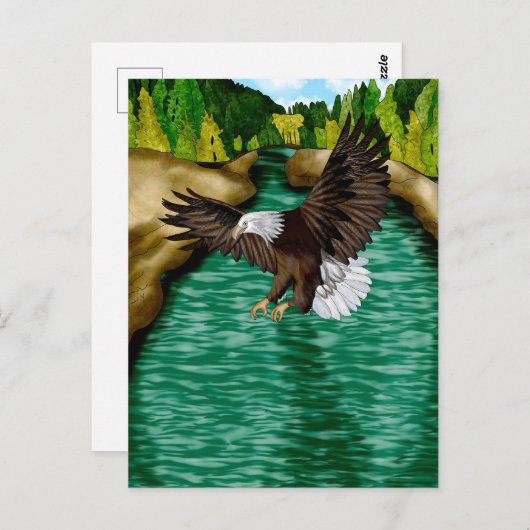 山飛んでいるの川の鷲 ポストカード (正面/裏面)