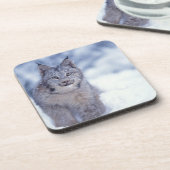 山麓のヤマネコ コースター (左側)