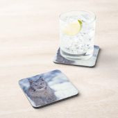 山麓のヤマネコ コースター (右側)