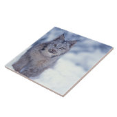 山麓のヤマネコ タイル (側面)