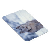 山麓のヤマネコ マグネット (右側)