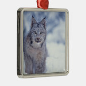 山麓のヤマネコ メタルオーナメント (右)