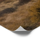 山麓の曲がりくねった道 ポスター (角)