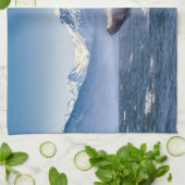 山 |アラスカ、ホエールグレイシャーベイのブリーチング キッチンタオル (折り畳み)