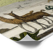 山、エクアドル、Chimborazo、「Le Costume Ancien」より ポスター (角)