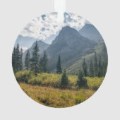 山 |コロラド州，ホリークロス・ワイルダネス オーナメント (裏面)