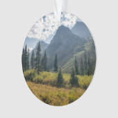 山 |コロラド州，ホリークロス・ワイルダネス オーナメント (正面)
