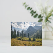 山 |コロラド州，ホリークロス・ワイルダネス ポストカード (スタンド正面)