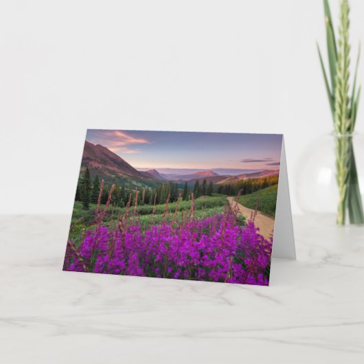 山 |コロラド州，ロッキー山脈 カード (正面)