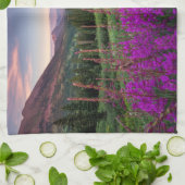 山 |コロラド州，ロッキー山脈 キッチンタオル (折り畳み)