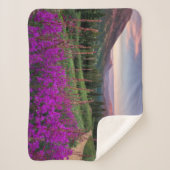 山 |コロラド州，ロッキー山脈 シェルパブランケット (正面)