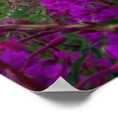 山 |コロラド州，ロッキー山脈 ポスター (角)