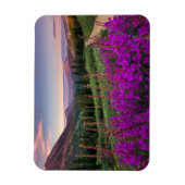 山 |コロラド州，ロッキー山脈 マグネット (縦)