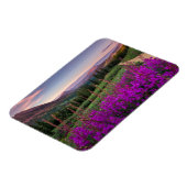 山 |コロラド州，ロッキー山脈 マグネット (左側)