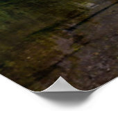 山 |コロラド《植物》アスペン ポスター (角)