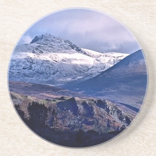 山 コースター (正面)