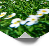 山 |スイスのアルプスバレー春 ポスター (角)