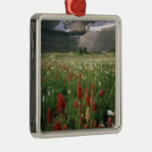 山·ティンパノゴス·ウィルダネス,アメリカ, メタルオーナメント (右)