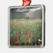 山·ティンパノゴス·ウィルダネス,アメリカ, メタルオーナメント (左)