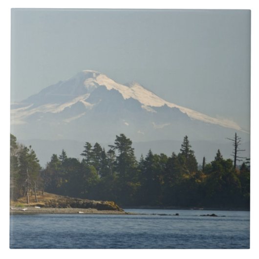 山·ベイカーが風景を支配 タイル (正面)