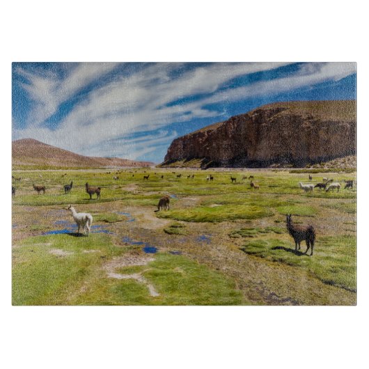 山 |ボリビア、アンデス カッティングボード (正面)