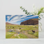 山 |ボリビア、アンデス サンキューカード (スタンド正面)