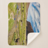 山 |ボリビア、アンデス シェルパブランケット (正面)