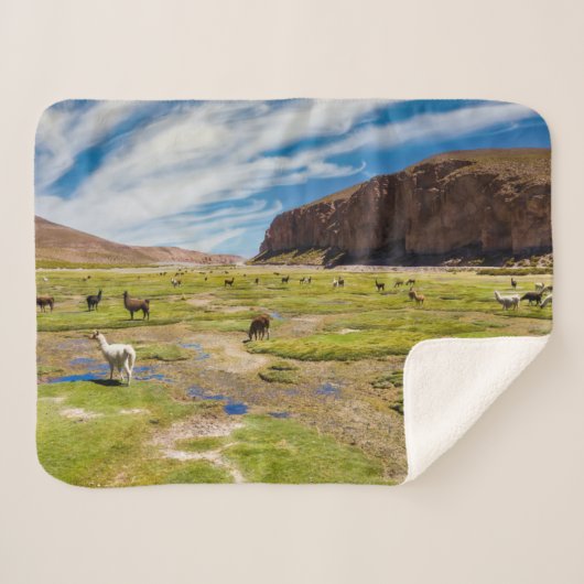 山 |ボリビア、アンデス シェルパブランケット (正面(横))