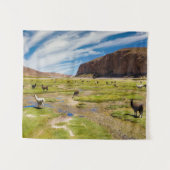 山 |ボリビア、アンデス タペストリー (正面(横))