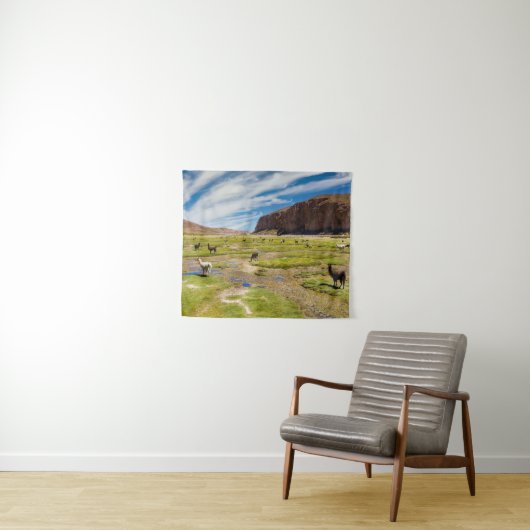 山 |ボリビア、アンデス タペストリー (インサイチュ(横))