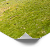 山 |ボリビア、アンデス ポスター (角)