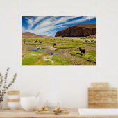 山 |ボリビア、アンデス ポスター (キッチン)