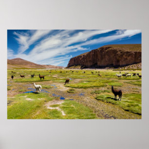 山 ボリビア、アンデス ポスター