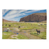 山 |ボリビア、アンデス 枕カバー (裏面)