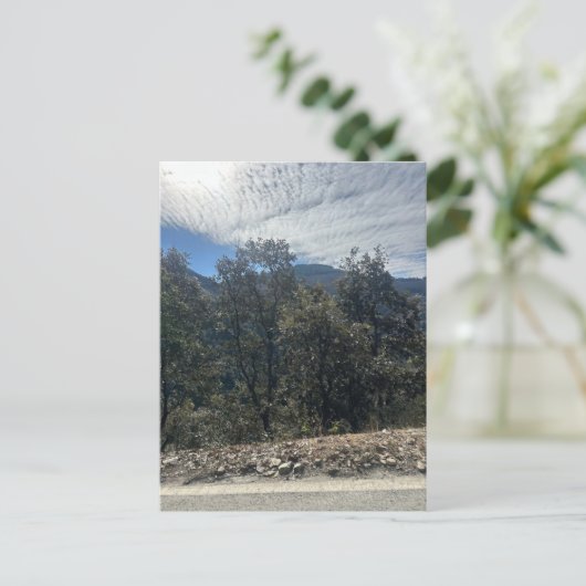 山 ポストカード (スタンド正面)