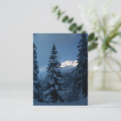 山 ポストカード (スタンド正面)