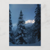 山 ポストカード (正面)