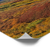 山。マッキンリーデナリ国立公園（アラスカ）。 ポスター (角)