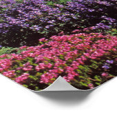 山・レイニエの麓の夏の野草 ポスター (角)