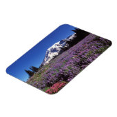 山・レイニエの麓の夏の野草 マグネット (左側)