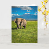 山 |山キリマンジャロ・タンザニア，アフリカ カード (黄色い花)