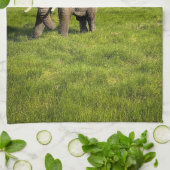 山 |山キリマンジャロ・タンザニア，アフリカ キッチンタオル (折り畳み)