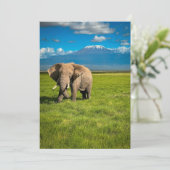 山 |山キリマンジャロ・タンザニア，アフリカ サンキューカード (スタンド正面)